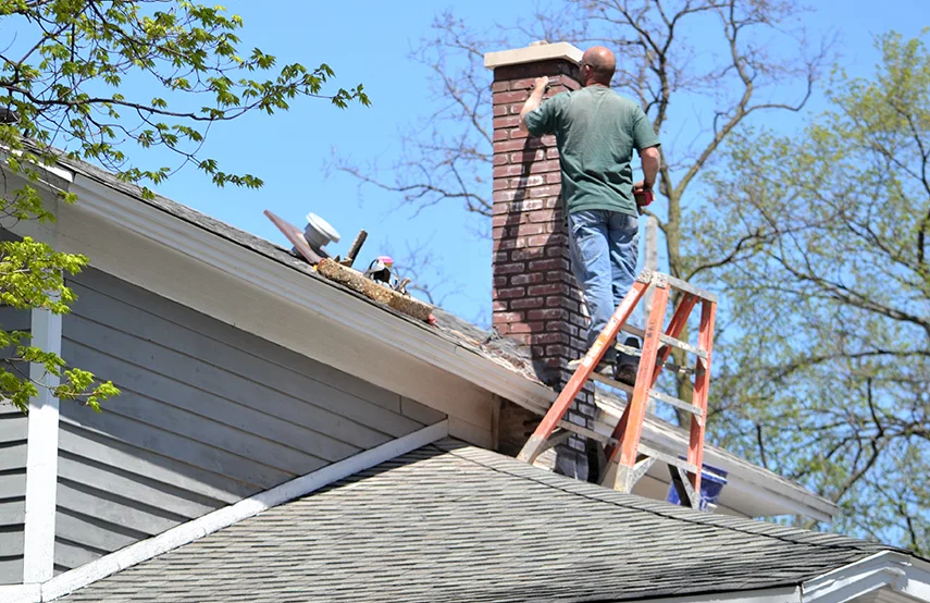 Chimney & Fireplace Inspections Services in Dedham, MA